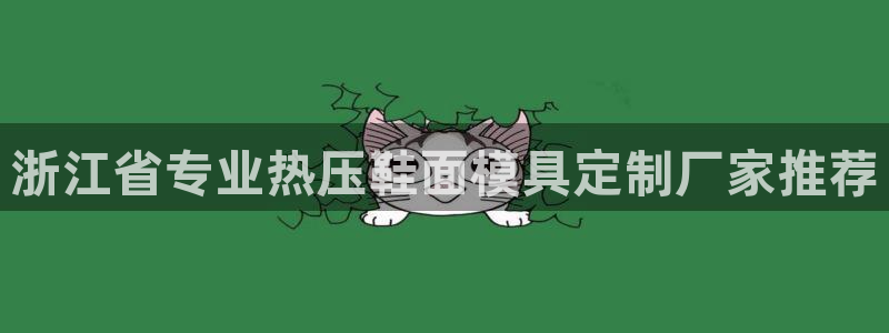 易倍申服用方法:浙江省专业热压鞋面模具定制厂家推荐