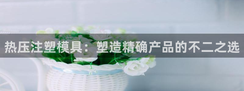 易倍易倍单词官方网站：热压注塑模具：塑造精确产品的不二之