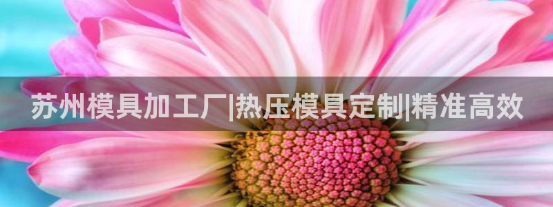 emcapp下载普通下载