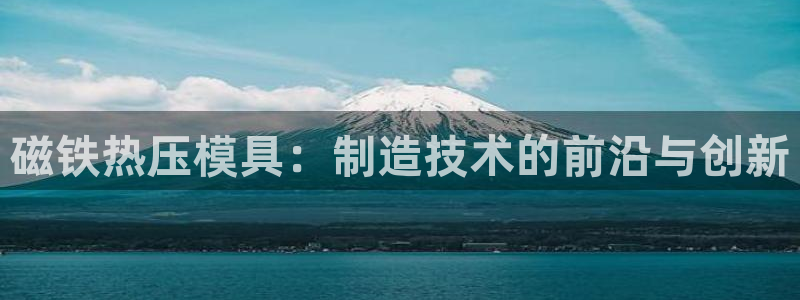 易倍申能长期吃吗：磁铁热压模具：制造技术的前沿与创新