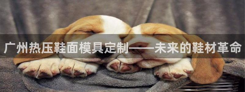易倍申可以长期服用吗：广州热压鞋面模具定制——未来的鞋材