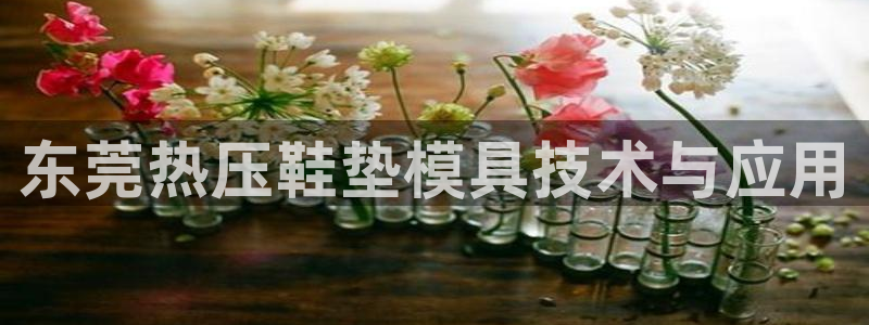易倍纤能减肥吗：东莞热压鞋垫模具技术与应用