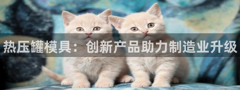 emc下载ios：热压罐模具：创新产品助力制造业升级