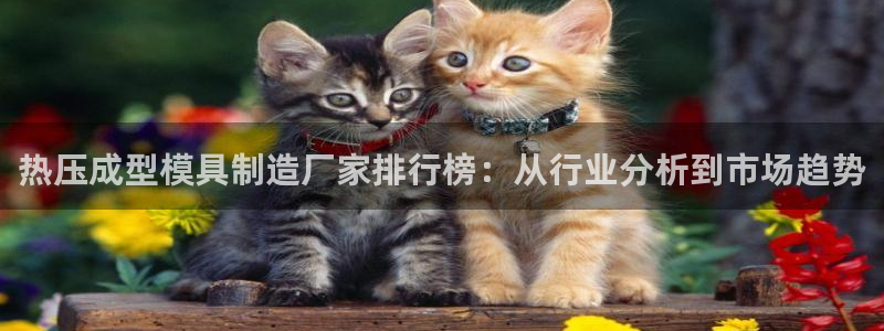 易倍达科技有限公司代运营