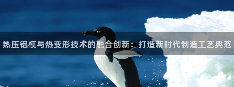 Emc易赔体育：热压铝模与热变形技术的融合创新：打造新时