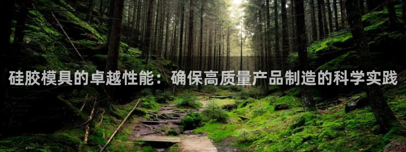 武汉易倍捷科技有限公司