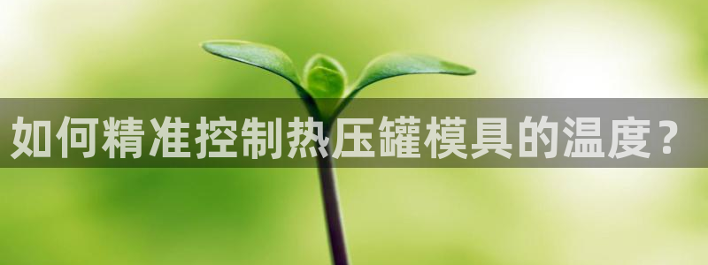易倍app官网下载安装：如何精准控制热压罐模具的温度？