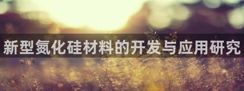 易倍单词平台：新型氮化硅材料的开发与应用研究
