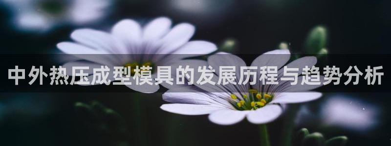 易倍单词平台：中外热压成型模具的发展历程与趋势分析