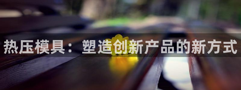 易倍申厂家：热压模具：塑造创新产品的新方式