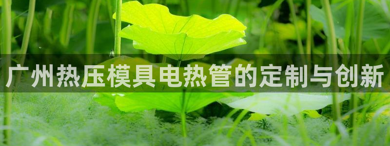 易倍申片：广州热压模具电热管的定制与创新