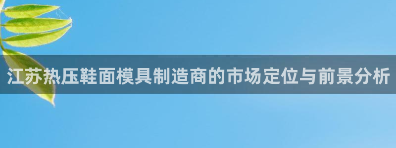 emc易倍官网首页：江苏热压鞋面模具制造商的市场定位与前