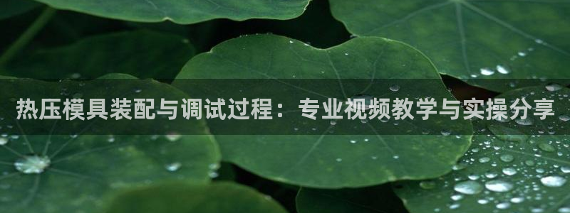 易倍申上市时间