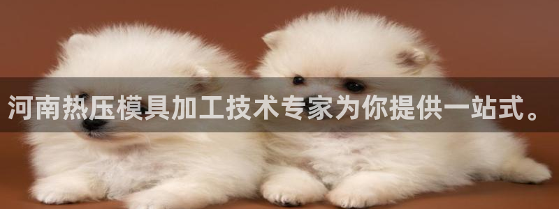 emc易倍ios官网：河南热压模具加工技术专家为你提供一