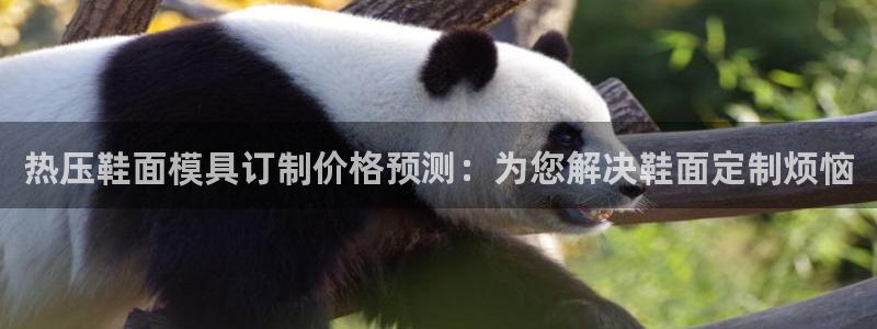 易倍申有用吗：热压鞋面模具订制价格预测：为您解决鞋面定制
