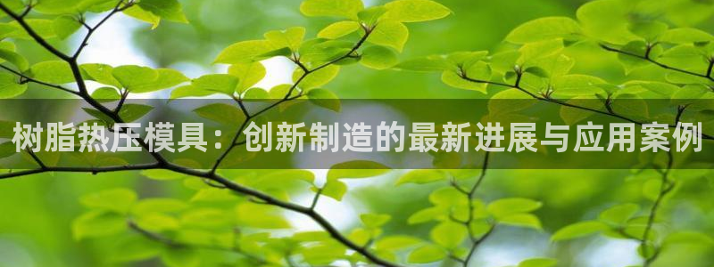 易倍申在中国成功上市：树脂热压模具：创新制造的最新进展与