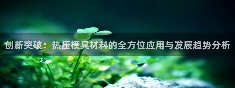 易倍申片说明书