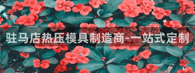 易倍单词如何下载：驻马店热压模具制造商-一站式定制