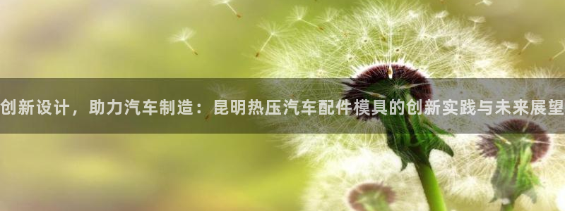易倍申的包装规格：创新设计，助力汽车制造：昆明热压汽车配