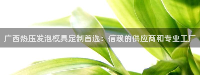易倍申竞品：广西热压发泡模具定制首选：信赖的供应商和专业