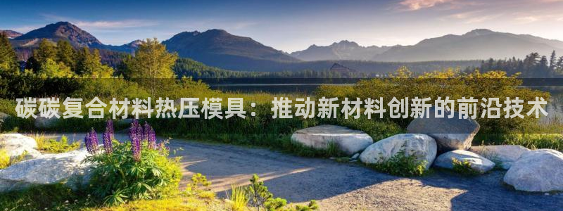 易倍申不良反应：碳碳复合材料热压模具：推动新材料创新的前