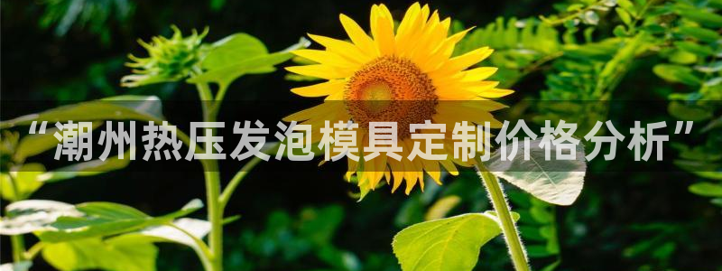 emc易倍全站官网：“潮州热压发泡模具定制价格分析”