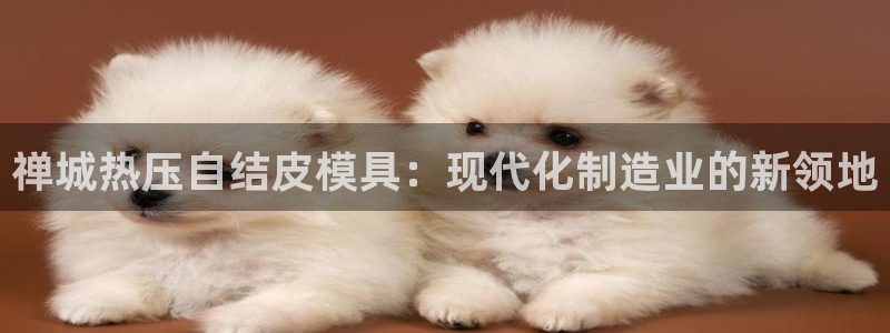emc频率：禅城热压自结皮模具：现代化制造业的新领地