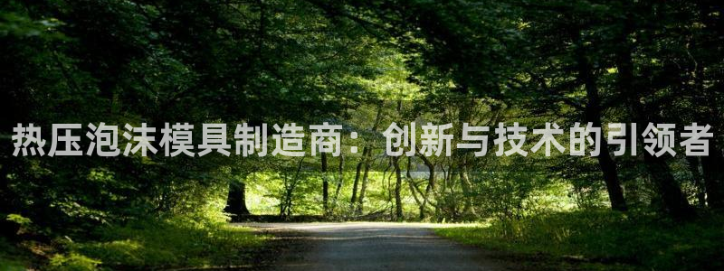 易倍申怎么样：热压泡沫模具制造商：创新与技术的引领者