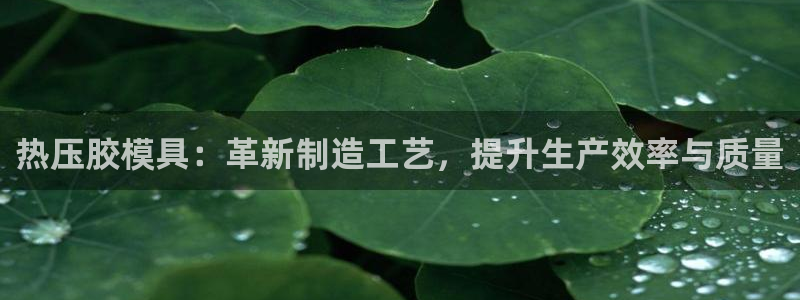 易倍英语官方网站登录：热压胶模具：革新制造工艺，提升生产