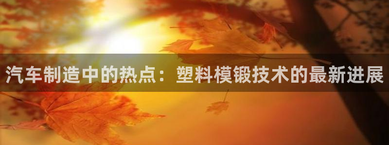 易倍申是进口药吗：汽车制造中的热点：塑料模锻技术的最新进