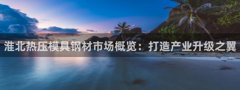 易倍单词官方网站下载安卓：淮北热压模具钢材市场概览：打造