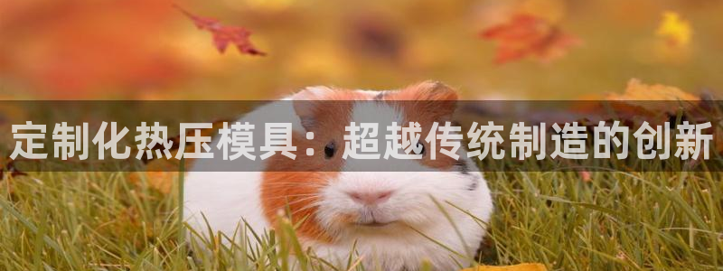 emc易倍账号异常：定制化热压模具：超越传统制造的创新