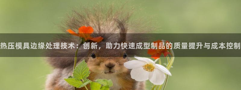 emc易倍是黑台子吗：热压模具边缘处理技术：创新，助力快