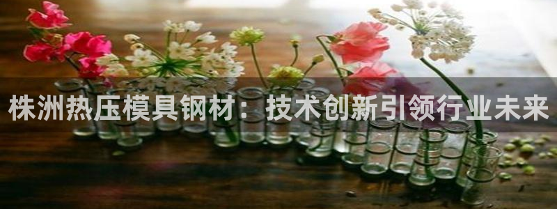 Emc易赔体育：株洲热压模具钢材：技术创新引领行业未来