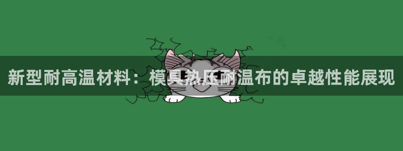 易倍申多少钱一盒：新型耐高温材料：模具热压耐温布的卓越性