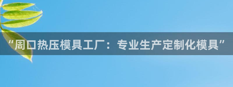 emc登录网站：“周口热压模具工厂：专业生产定制化模具”