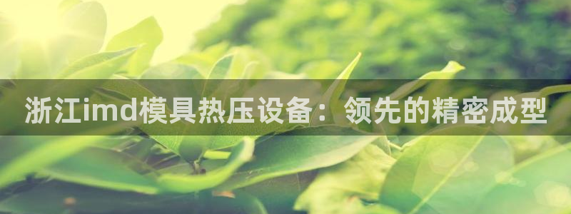 易倍企业管理软件怎么样：浙江imd模具热压设备：领先的精