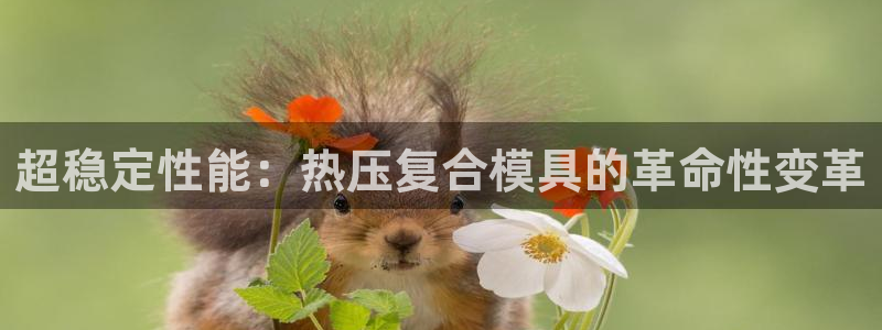 emc易倍官方下载：超稳定性能：热压复合模具的革命性变革