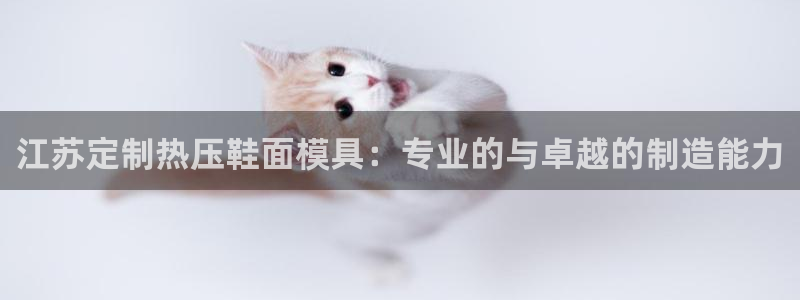 易倍申的包装规格：江苏定制热压鞋面模具：专业的与卓越的制