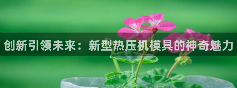 emc倍频干扰：创新引领未来：新型热压机模具的神奇魅力