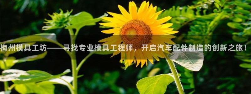 emc易倍官方平台