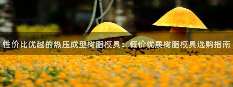 emc32软件：性价比优越的热压成型树脂模具：低价优质树