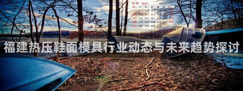 易倍单词官方网站：福建热压鞋面模具行业动态与未来趋势探讨