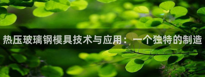 易倍达科技有限公司代运营：热压玻璃钢模具技术与应用：一个