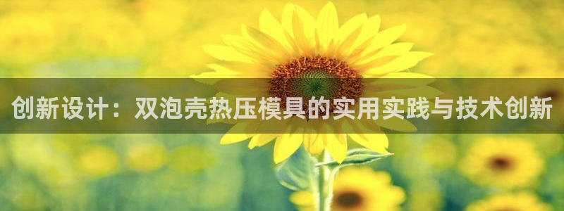 易倍单词登录平台:创新设计:双泡壳热压模具的实用实践与技
