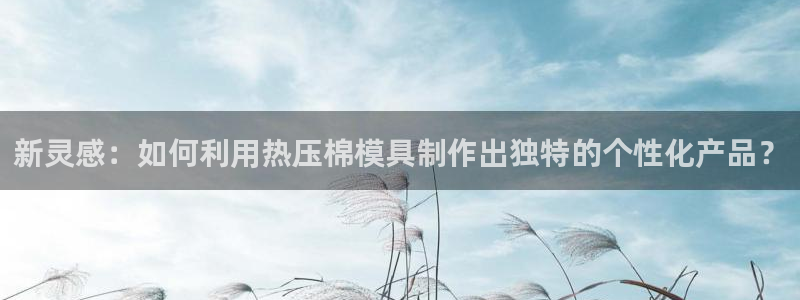 北京易倍思教育怎么样:新灵感:如何利用热压棉模具制作出独