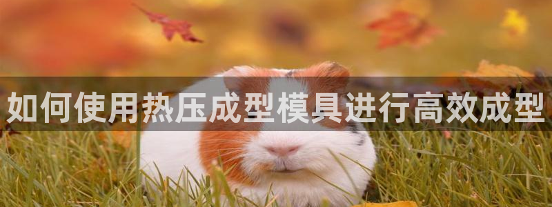 emc易倍官网app官网：如何使用热压成型模具进行高效成