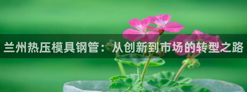 易倍申效果怎么样:兰州热压模具钢管:从创新到市场的转型之