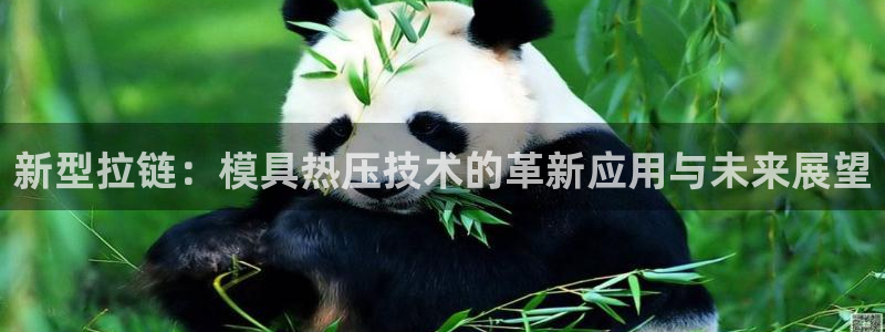 易倍申厂家:新型拉链:模具热压技术的革新应用与未来展望