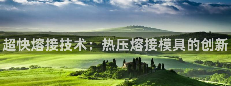 易倍纤谷物粉效果好吗:超快熔接技术:热压熔接模具的创新